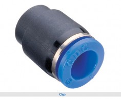 PPF cap 2